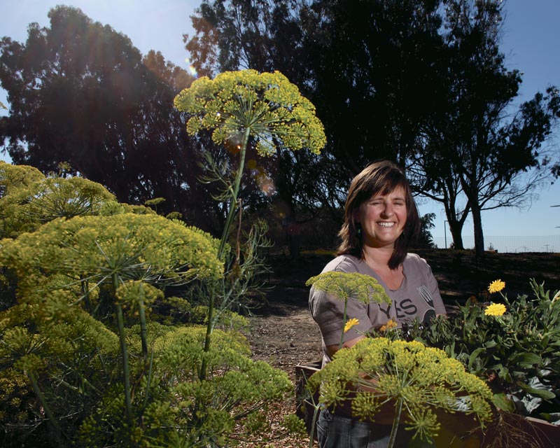 Iris Peppard